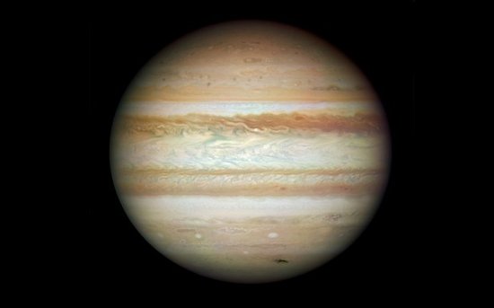 49ʿʷ¼202098